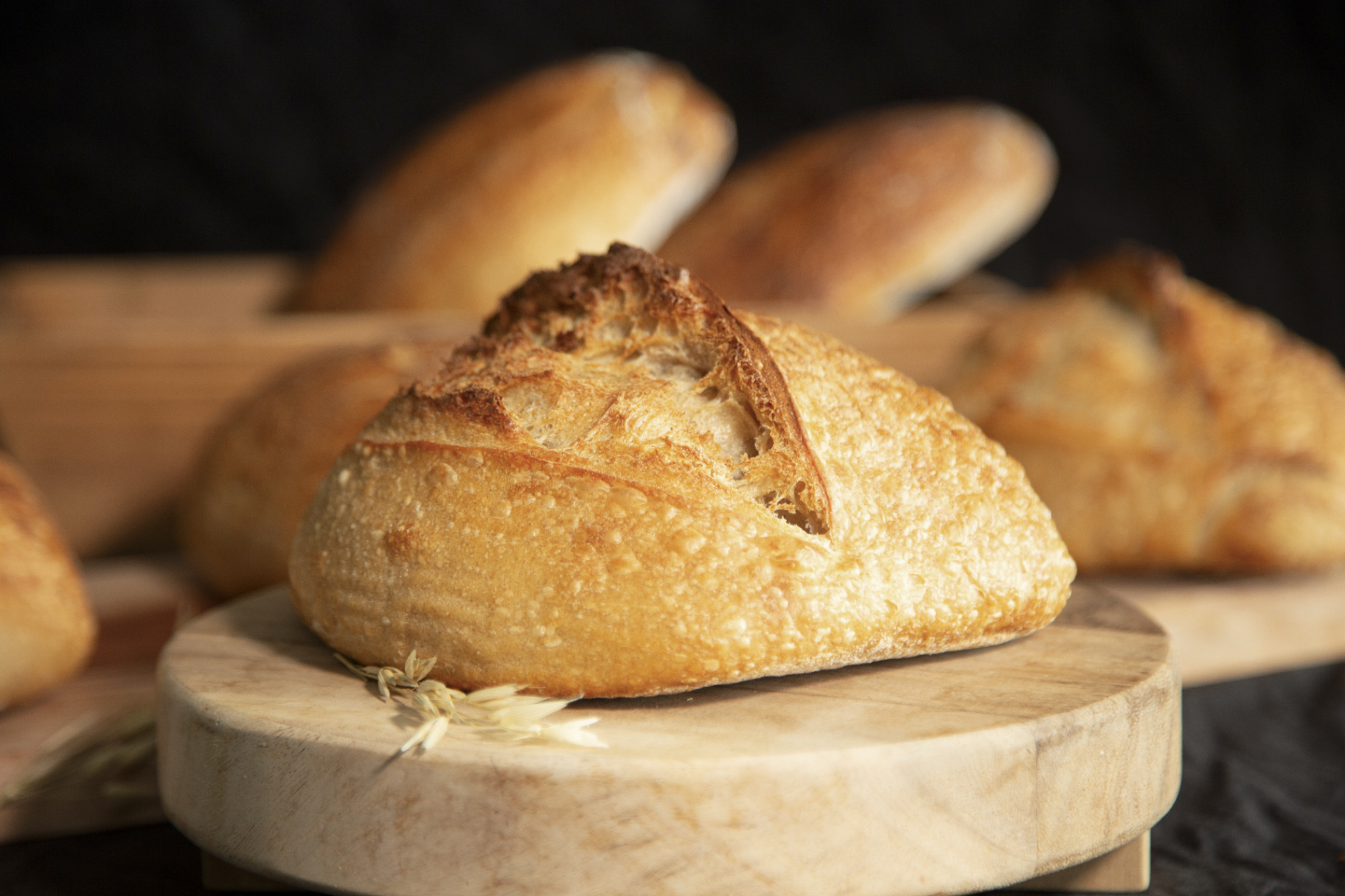 Sourdough loaves and pastries on a rustic wooden bakery table in warm morning light